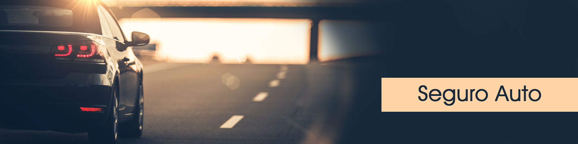 Seguro Auto