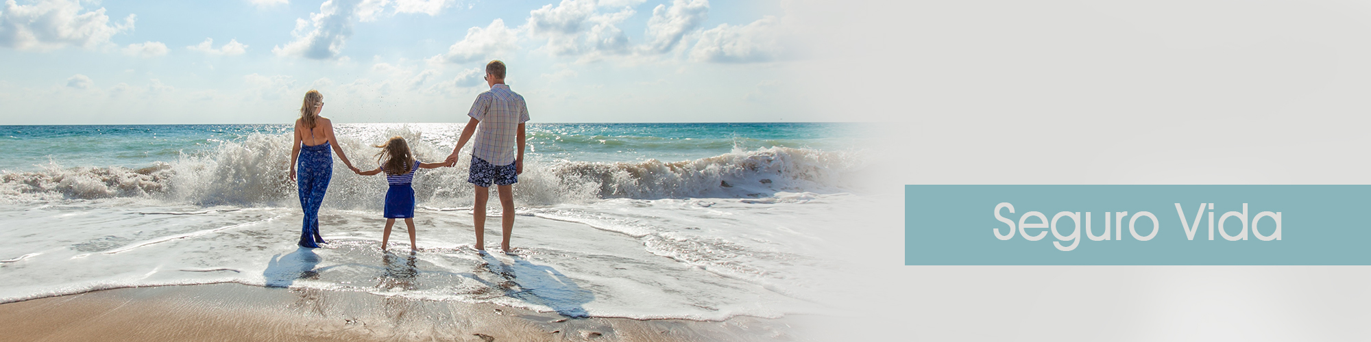 Seguro Vida